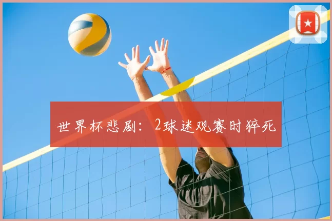 世界杯悲剧：2球迷观赛时猝死