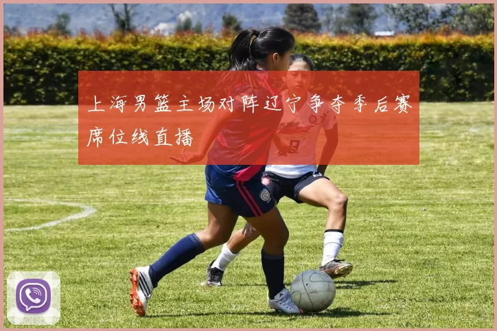 上海男篮主场对阵辽宁争夺季后赛席位线直播