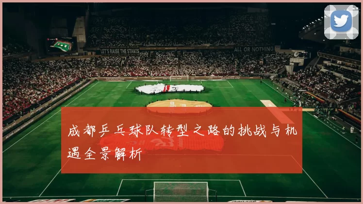 成都乒乓球队转型之路的挑战与机遇全景解析