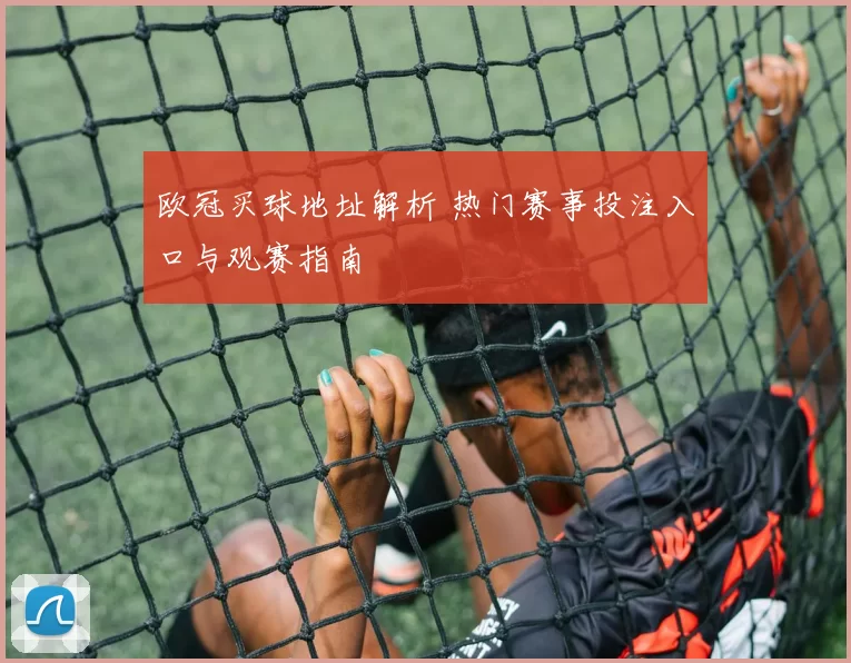 欧冠买球地址解析 热门赛事投注入口与观赛指南