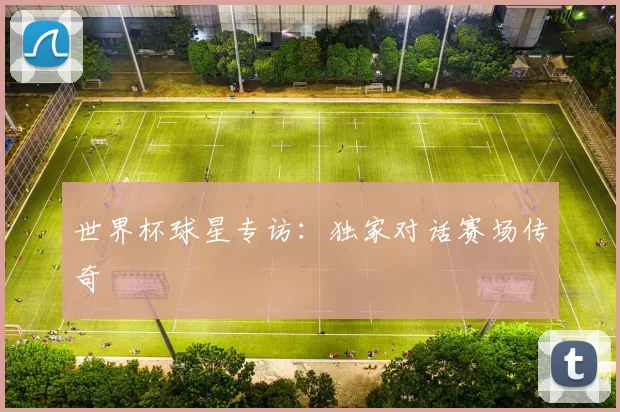 世界杯球星专访：独家对话赛场传奇