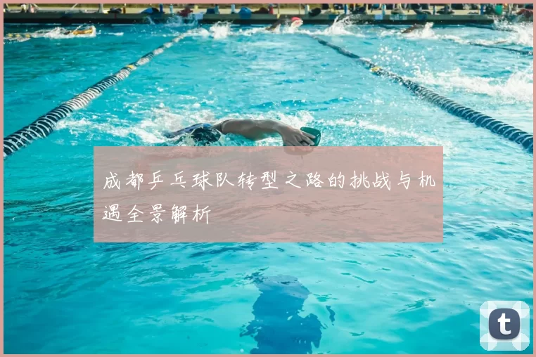 成都乒乓球队转型之路的挑战与机遇全景解析