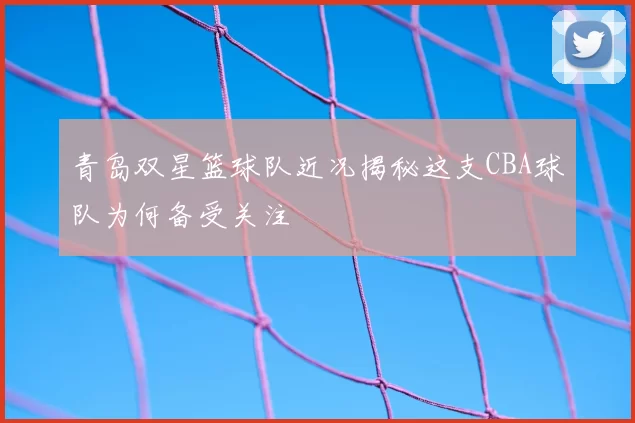 青岛双星篮球队近况揭秘这支CBA球队为何备受关注