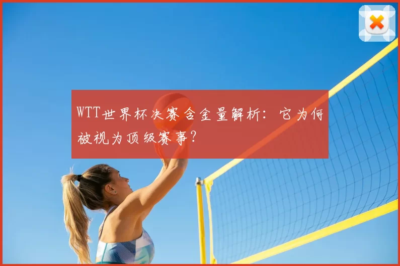 WTT世界杯决赛含金量解析:它为何被视为顶级赛事?