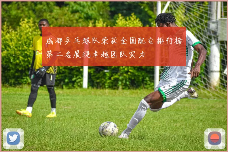 成都乒乓球队荣获全国配合排行榜第二名展现卓越团队实力
