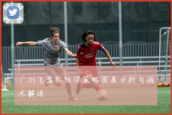 广州飞盘队防守策略深度分析与战术解读
