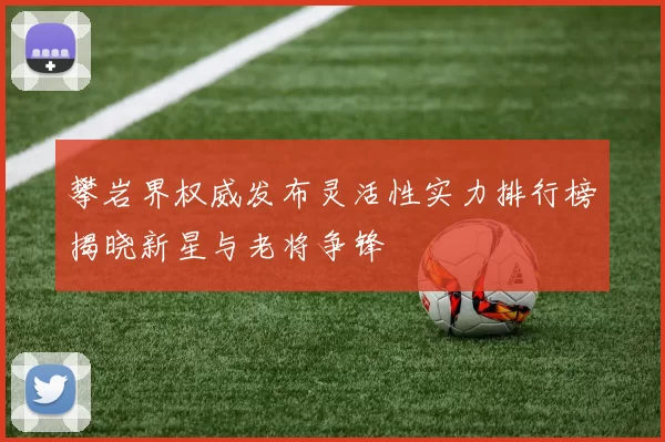攀岩界权威发布灵活性实力排行榜揭晓新星与老将争锋