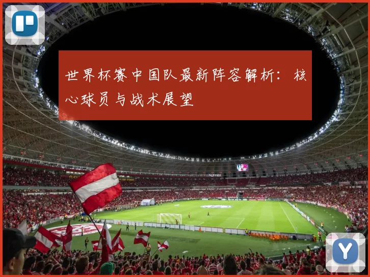世界杯赛中国队最新阵容解析:核心球员与战术展望
