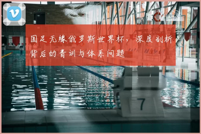 国足无缘俄罗斯世界杯,深度剖析背后的青训与体系问题