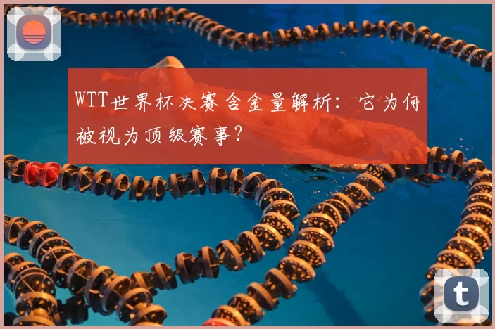 WTT世界杯决赛含金量解析:它为何被视为顶级赛事?