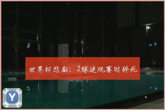 世界杯悲剧：2球迷观赛时猝死