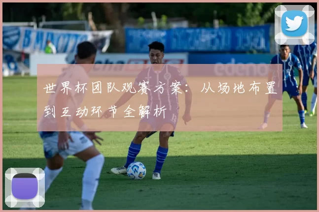 世界杯团队观赛方案:从场地布置到互动环节全解析