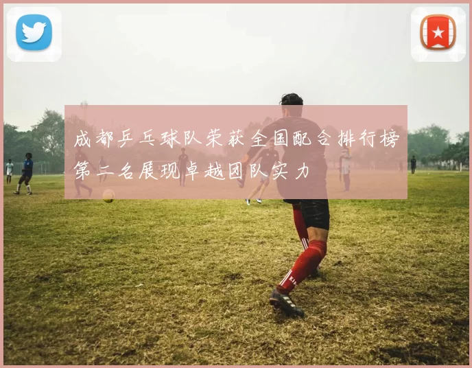 成都乒乓球队荣获全国配合排行榜第二名展现卓越团队实力