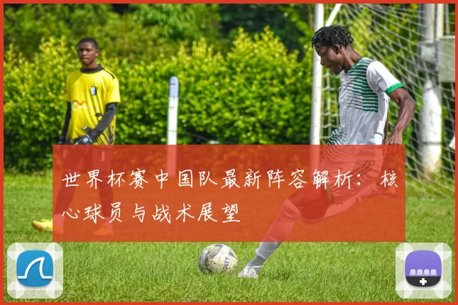 世界杯赛中国队最新阵容解析:核心球员与战术展望